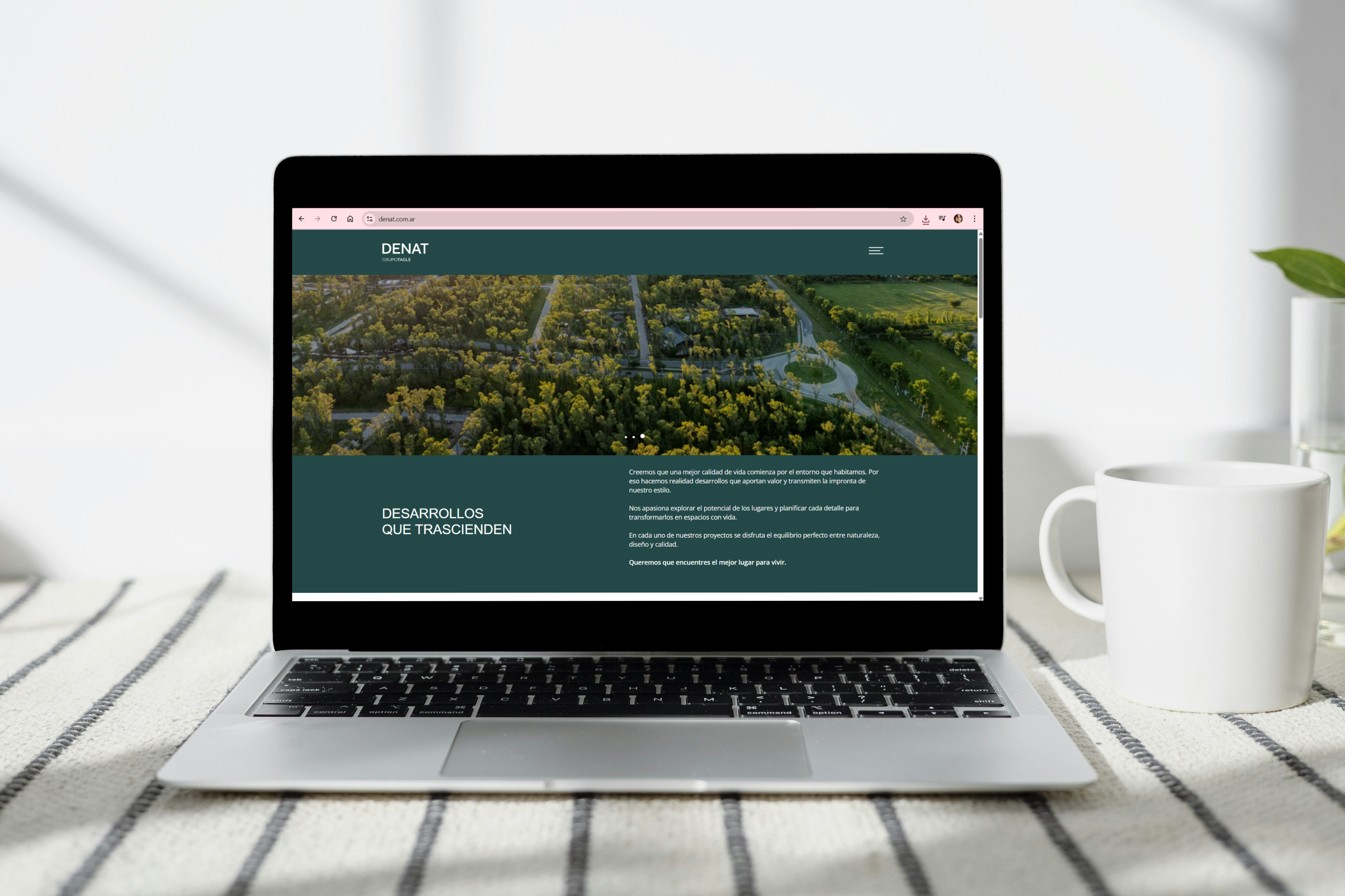 Sitio web Denat Mockup